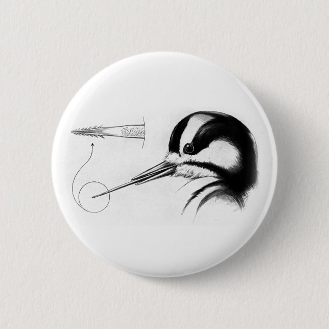 Anatomie der Zunge Button (Vorderseite)