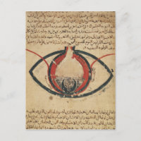 Anatomie des Auges, aus einem Buch über Augenkrank