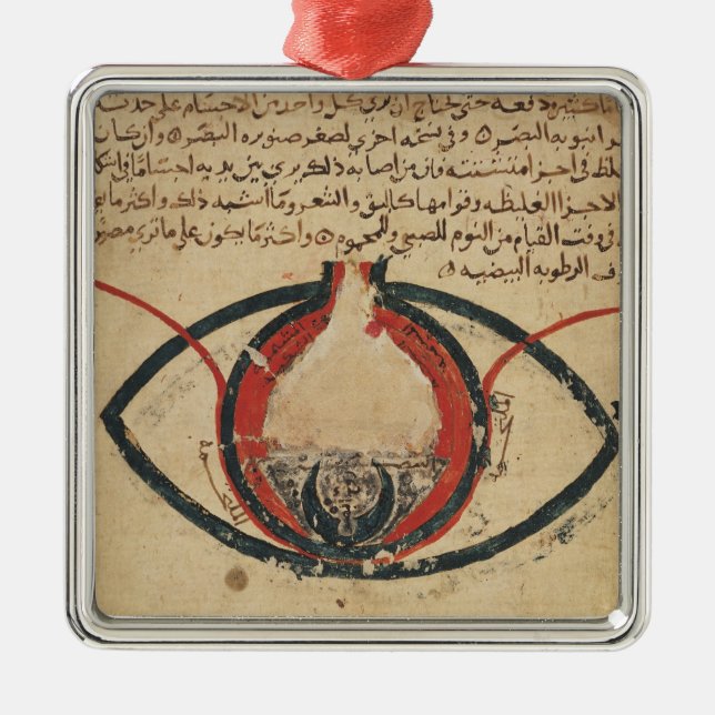 Anatomie des Auges, von einem Buch auf Silbernes Ornament (Vorne)