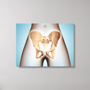 Anatomie des Becken- Knochens auf weiblichem Leinwanddruck