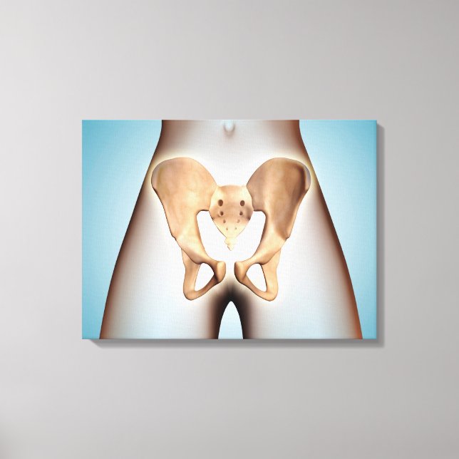 Anatomie des Beckenknochens am weiblichen Körper Leinwanddruck (Vorderseite)