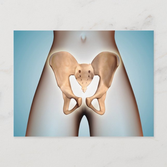 Anatomie des Beckenknochens am weiblichen Körper Postkarte (Vorderseite)