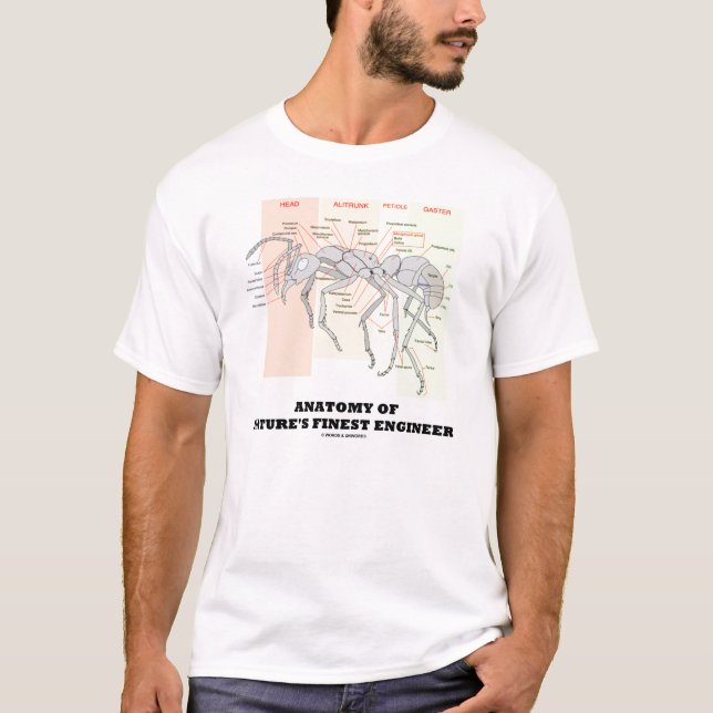 Anatomie des feinsten Ingenieurs der Natur T-Shirt (Vorderseite)
