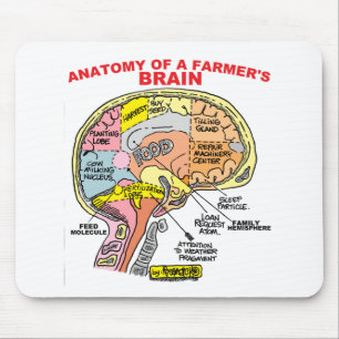 ANATOMIE DES GEHIRNS EINES BAUERN MOUSEPAD
