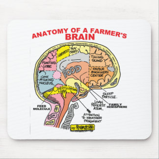 ANATOMIE DES GEHIRNS EINES BAUERN MOUSEPAD