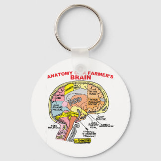 ANATOMIE DES GEHIRNS EINES BAUERN SCHLÜSSELANHÄNGER