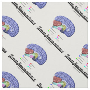 Anatomie des Gehirns im Team Neurowissenschaft Att Stoff