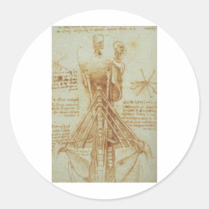 Anatomie des Halses durch Leonardo da Vinci C. Runder Aufkleber