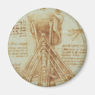 Anatomie des Halses Magnet