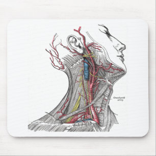 Anatomie des Halses Mousepad
