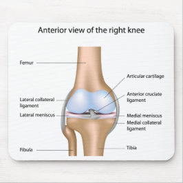 Anatomie des Kniegelenks Mousepad
