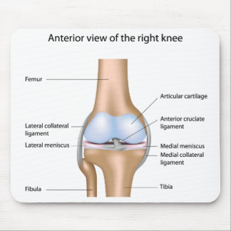 Anatomie des Kniegelenks Mousepad