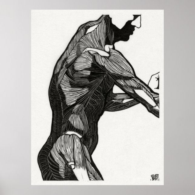 Anatomie des Menschen 4 Poster (Vorne)