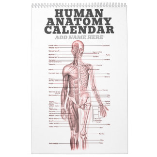 Anatomie des Menschen Medizinisches Diagramm Neuhe Kalender
