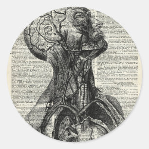 Anatomie des Menschen Runder Aufkleber