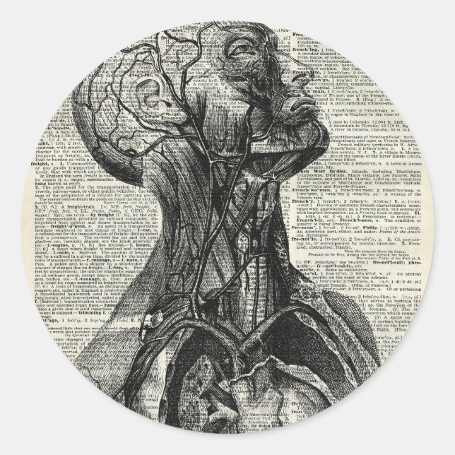 Anatomie des Menschen Runder Aufkleber (Vorderseite)