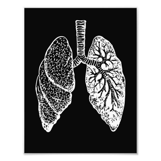 Anatomie des Menschen, schwarz-weiße Lungen Fotodruck (Vorne)
