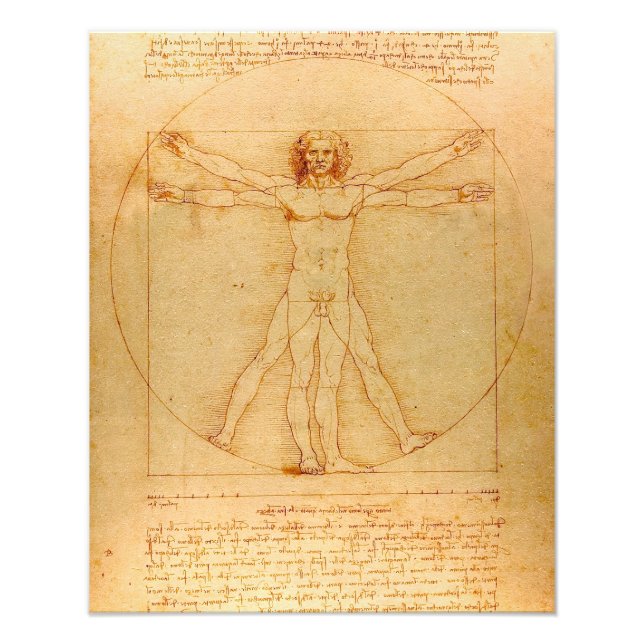 Anatomie des Menschen, Vitruvianischer Mensch von  Fotodruck (Vorne)