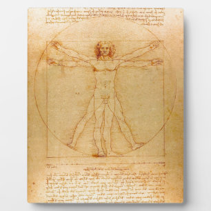 Anatomie des Menschen, Vitruvianischer Mensch von  Fotoplatte