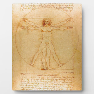 Anatomie des Menschen, Vitruvianischer Mensch von Fotoplatte