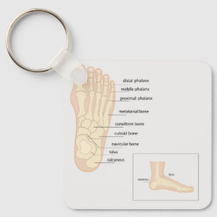 Anatomie des menschlichen Fußes Schlüsselanhänger