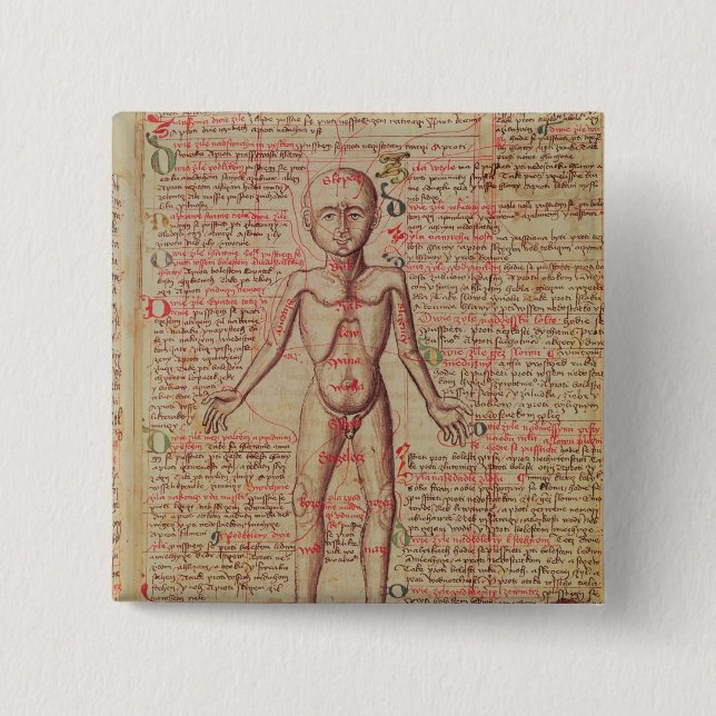 Anatomie des menschlichen Körpers Button (Vorderseite)