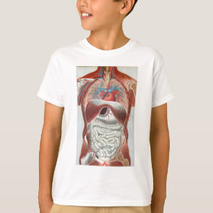 Anatomie des menschlichen Körpers T-Shirt