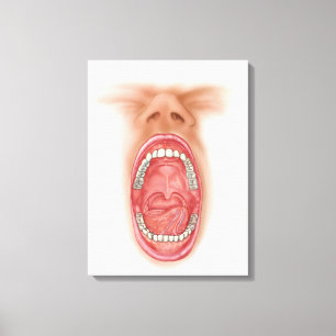 Anatomie des menschlichen Mund-Hohlraumes Leinwanddruck
