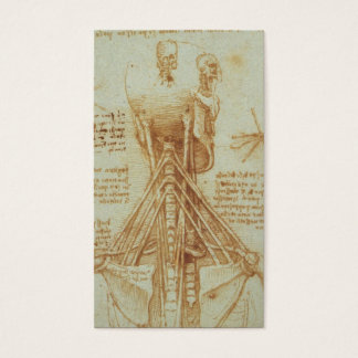 Anatomie des Necks von Leonardo Da Vinci c. 1515