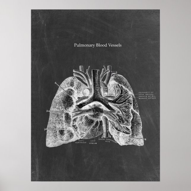 Anatomie des poumons avec esthétique du tableau de (Devant)