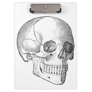 Anatomie des Vintagen Schädels, zeichnend monochro Klemmbrett