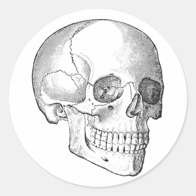 Anatomie des Vintagen Schädels, zeichnend monochro Runder Aufkleber (Vorderseite)