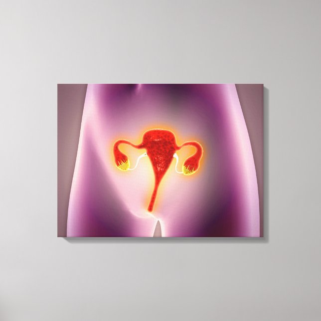 Anatomie des weiblichen Körpers mit Uterus Leinwanddruck (Vorderseite)