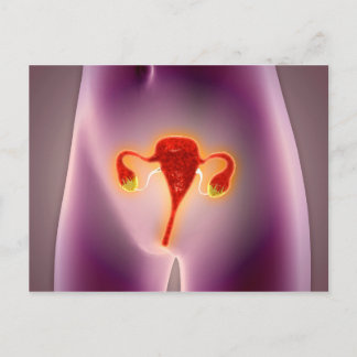 Anatomie des weiblichen Körpers mit Uterus Postkarte