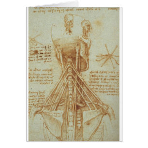 Anatomie du cou par Leonardo da Vinci C. 1515