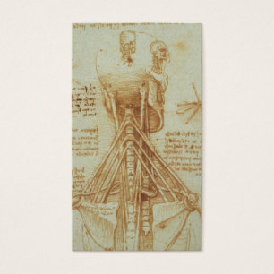 Anatomie du cou par Leonardo da Vinci C. 1515