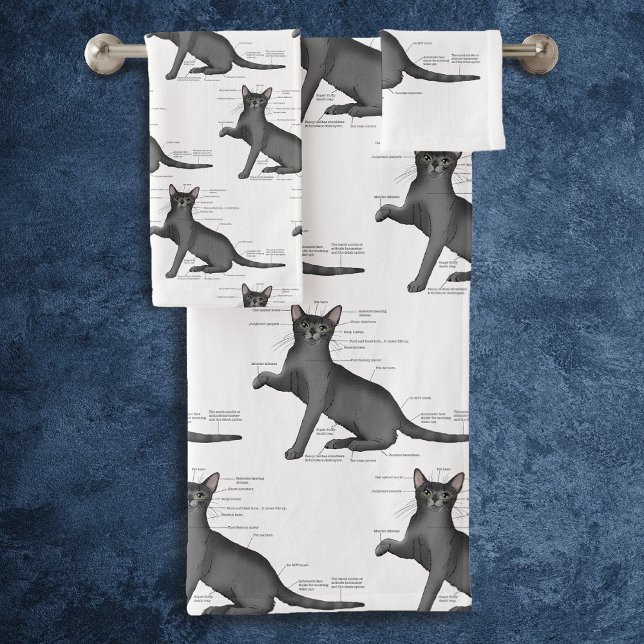 Anatomie d'un chat (Créateur téléchargé)