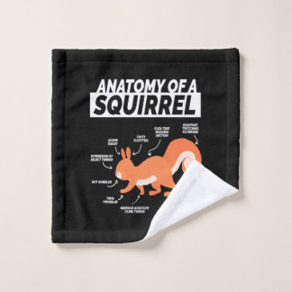 Anatomie d'un écureuil