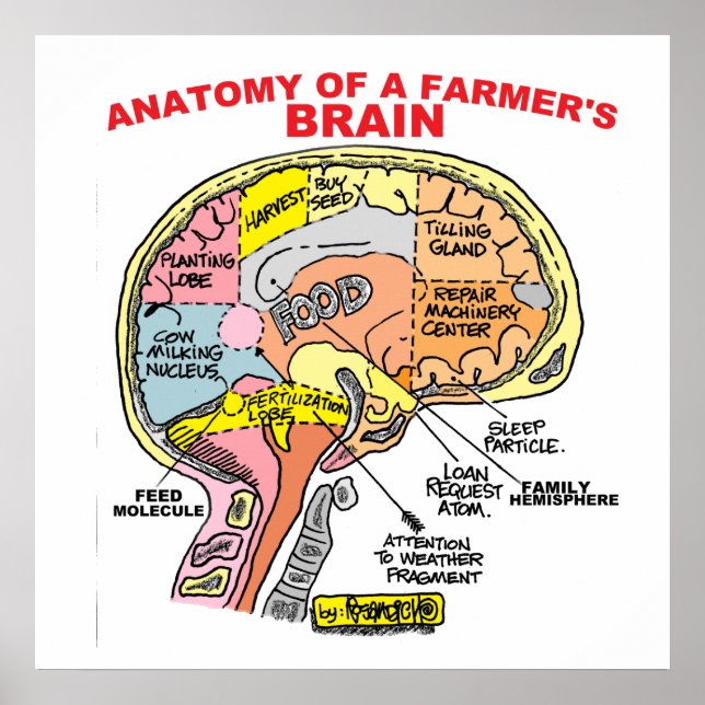 ANATOMIE D'UN POSTER DE CERVEAU D'UN AGRICULTEUR (Devant)