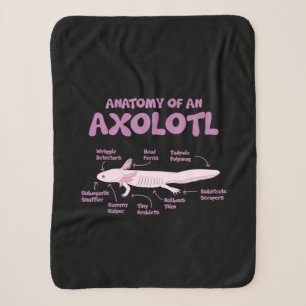 Anatomie einer axolotl axolotls Biologie Wissensch Sherpadecke