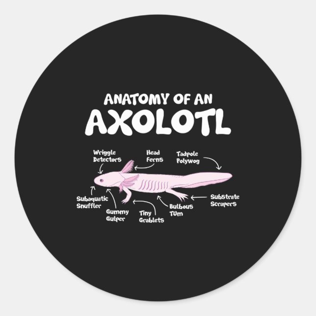 Anatomie einer axolotl axolotls biology science runder aufkleber (Vorderseite)