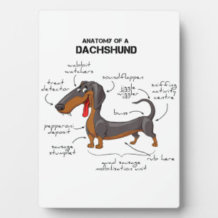 Anatomie einer Dackel - Witzhund Fotoplatte