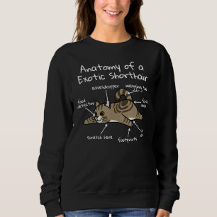 Anatomie einer exotischen Kurzhaarkatze Sweatshirt