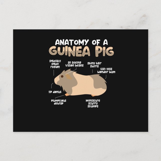 Anatomie einer Guinea Postkarte (Vorderseite)