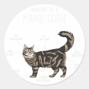 Anatomie einer Maine-Coon-Katze Runder Aufkleber