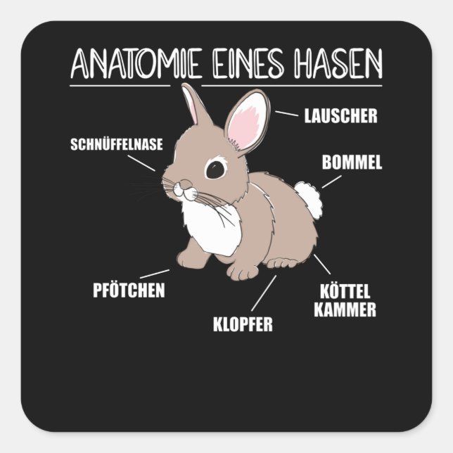Anatomie einer sonnigen Knochenerklärung Quadratischer Aufkleber (Vorderseite)