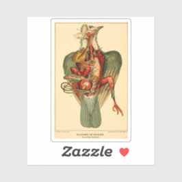 Anatomie einer Taube Aufkleber