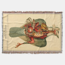 Anatomie einer Taube Decke