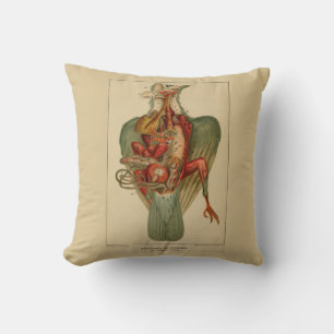 Anatomie einer Taube Kissen
