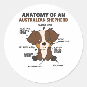 Anatomie eines australischen Hirten süße Hunde Runder Aufkleber